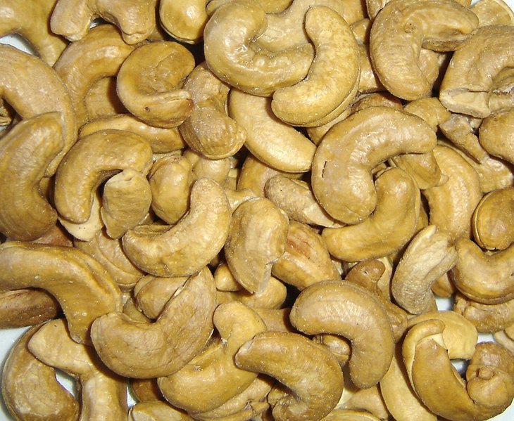cashewnut,surghum,wheat