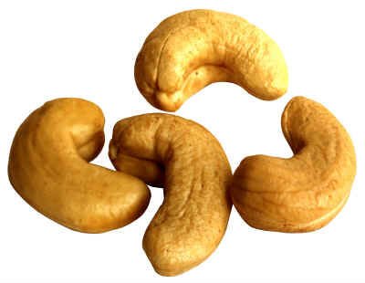 Raw and dried Cashew nuts