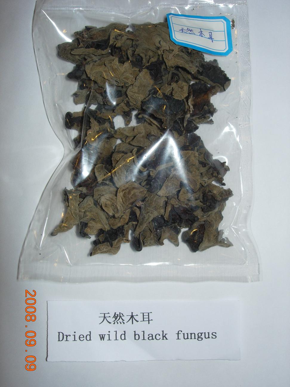 dried wild black fungus