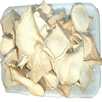 AD.Pleurotus nebrodensis