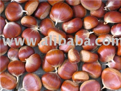 CHESTNUTS