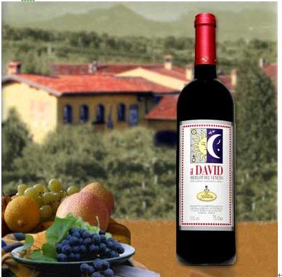 "David Merlot I.G.T."WINE