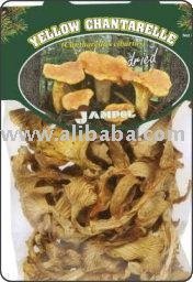 Yellow Chantarelle, PP bag 40g