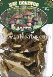 Bay Boletus, PP bag 40g