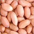 ground nuts