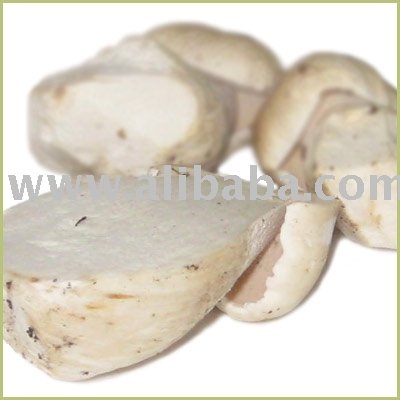 Dried Porcini Bolete Mushroom