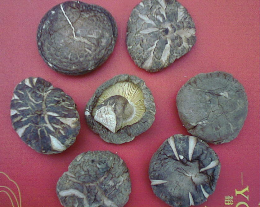 dried shiitake