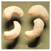 Cashew Nuts