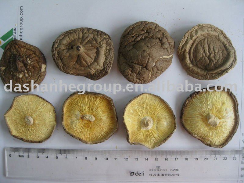 dried shiitake(thin)