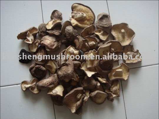 thin shiitake mushroom