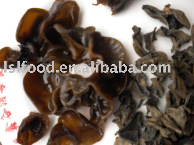 Dried Black Fungus Grow In Raw Woodchina Lushenglong Price Supplier