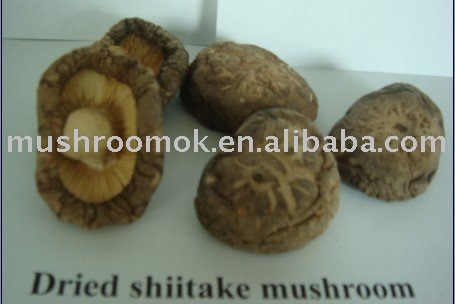 Dried shiitake mushroom