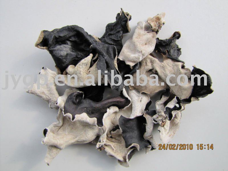 black fungus