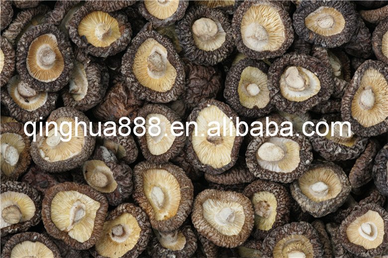 Dried Shiitake Mushrooms