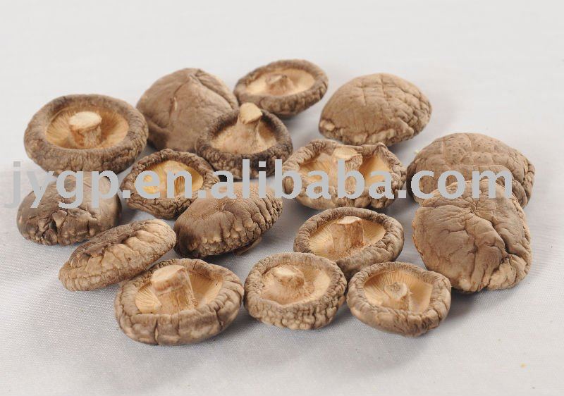 Mushroom(Shiitake)