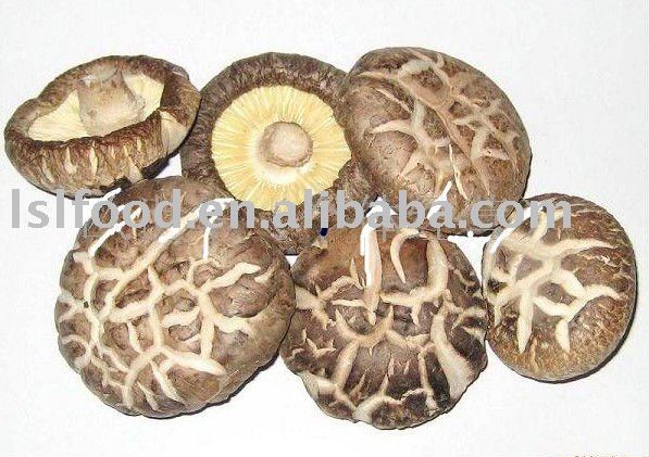 2011new dried shiitake mushrooms