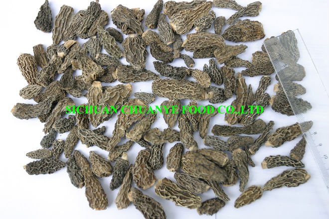 dry morchella mushroom    wild mushroom