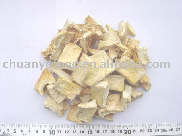 dried oyster mushroom(pleurotus ostreatus)