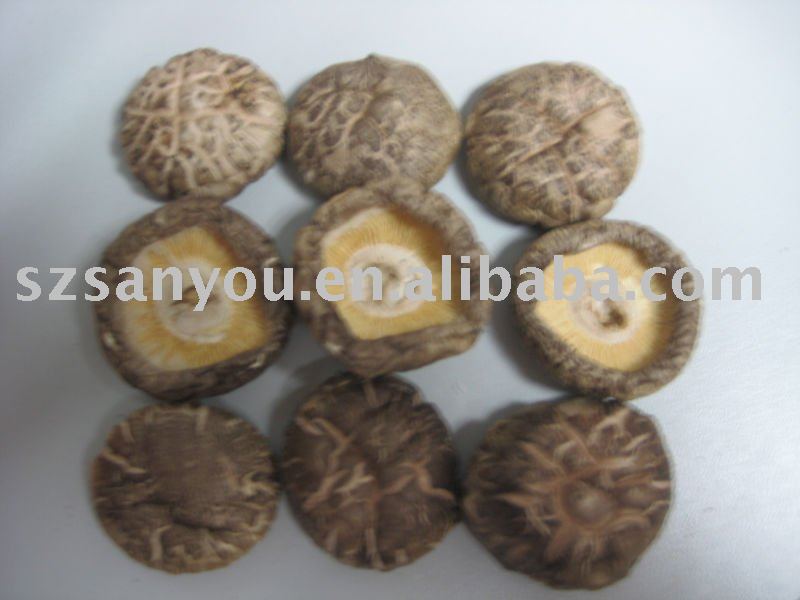 Hight Quality Dried Mushroom