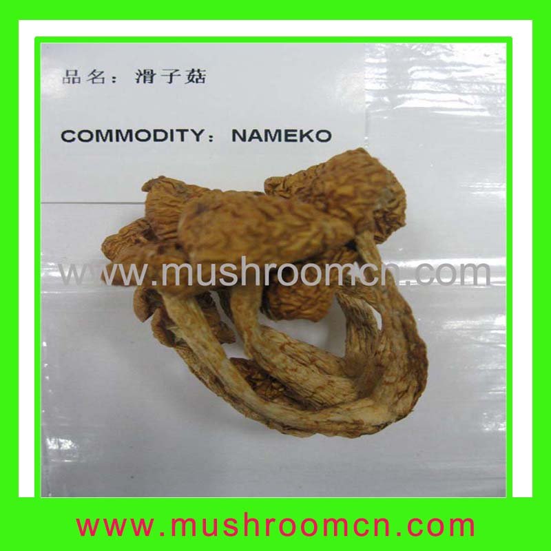 Dried Nameko