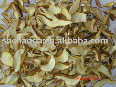 boletus
