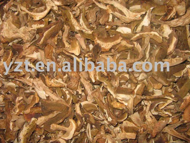 dried boletus