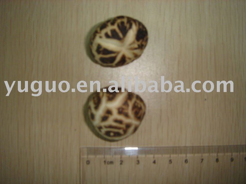 organic dried shiitake mushroom