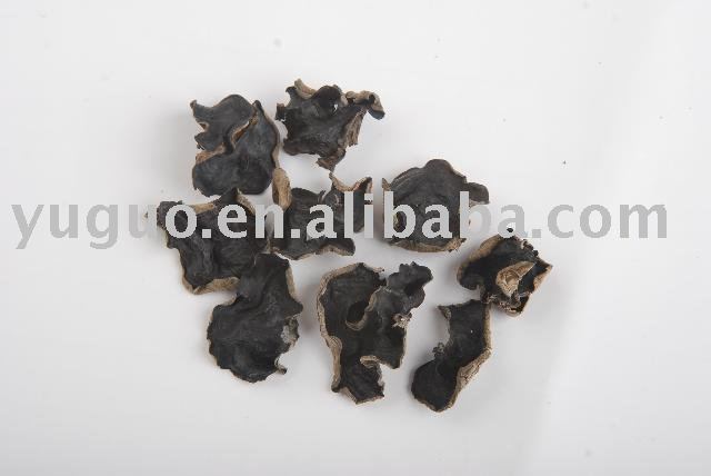 dried fungus