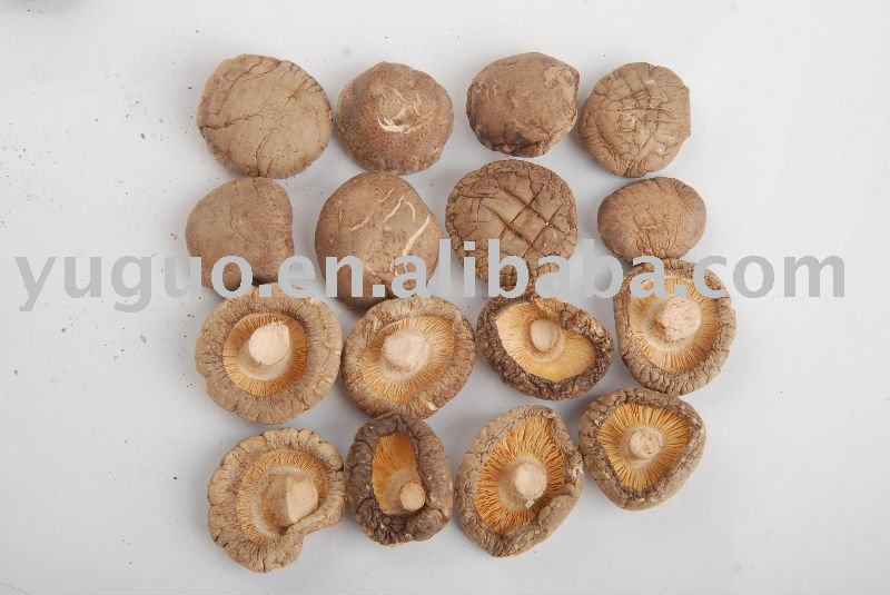 Smooth shiitake mushrooms