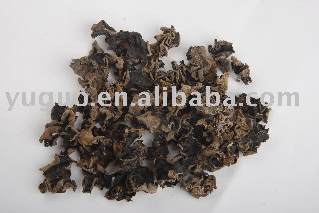 best  dried   fungus 