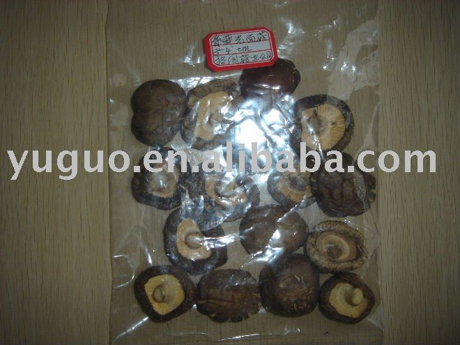 smooth face shiitake mushroom