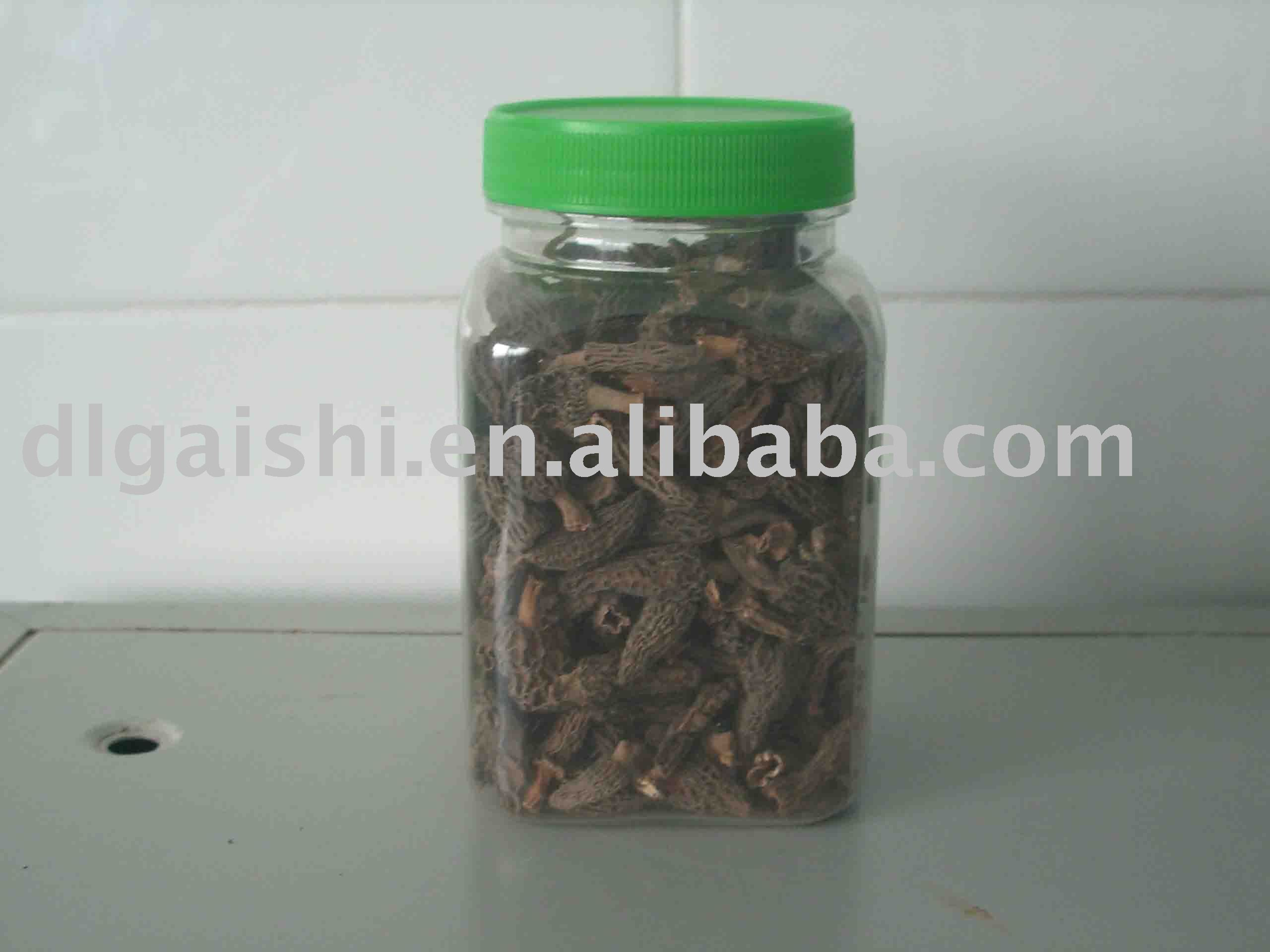 morel