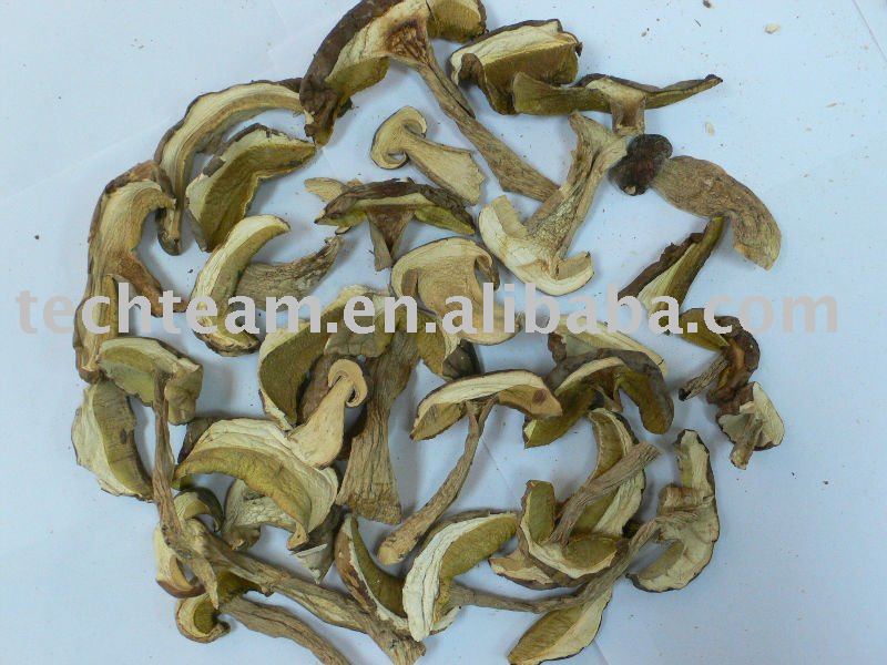 organic mushroom dried boletus edulis (porcini)