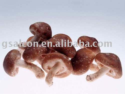 price for  shiitake 