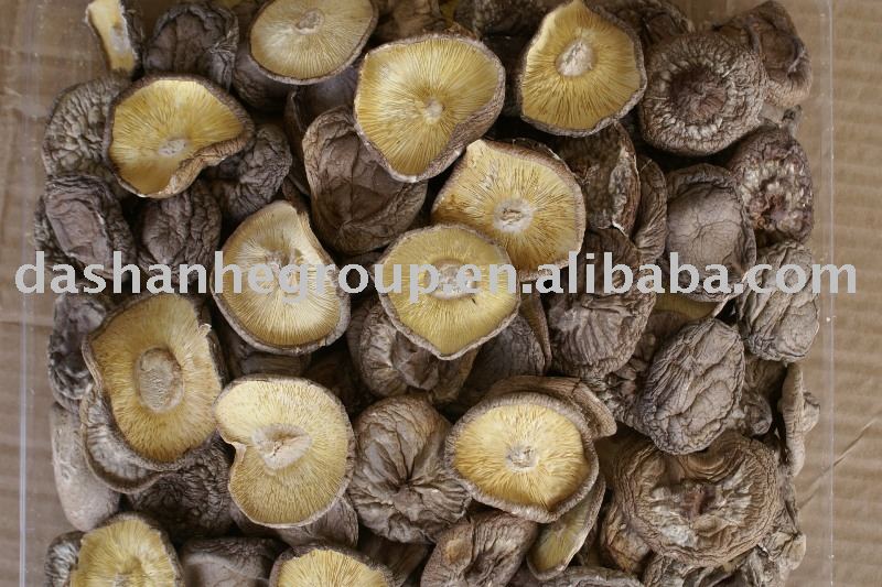 Thin Shiitake