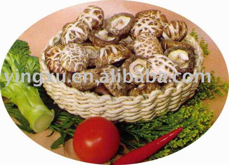 Dried White Flower Shiitake