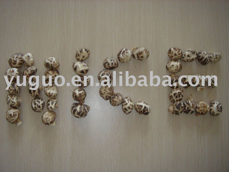NEW CROP DRIED WHITE FLOWER SHIITAKE MUSHROOM