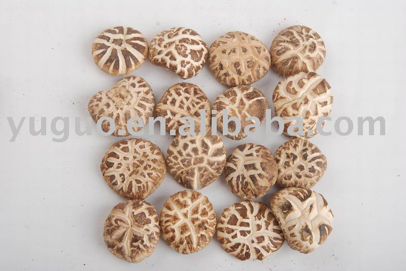 YUGUO natural organic dried shiitake mushroom