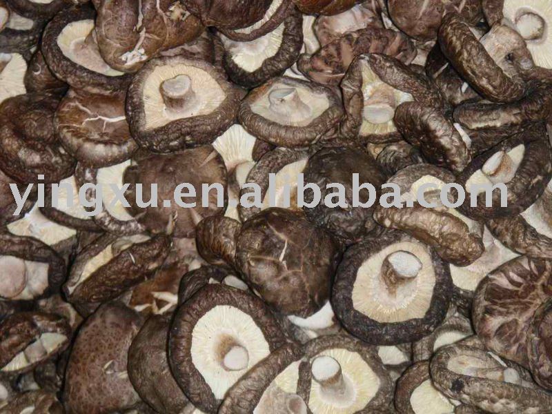 Dried mushroom