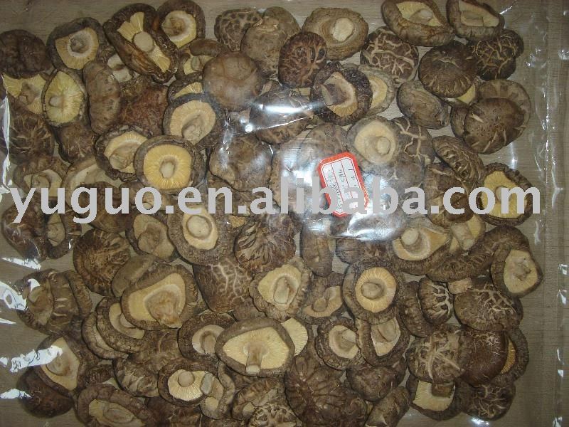 DRIED SHIITAKE MUSHROOM/SMOOTH SHIITAKE MUSHROOM