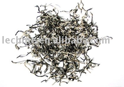 Black fungus stripe