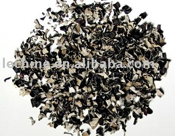 Black fungus dice