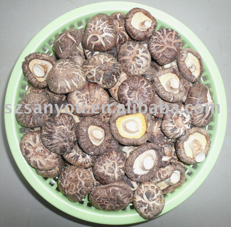 Chinese dried mushroom,China White label price supplier 21food