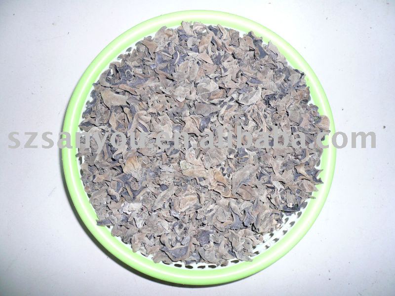 wild black fungus