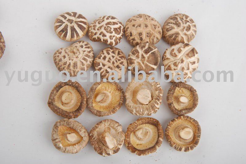 organic dried green food shiitake mushroom