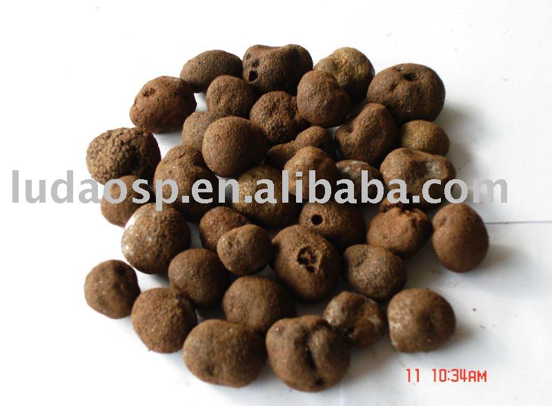 Truffle