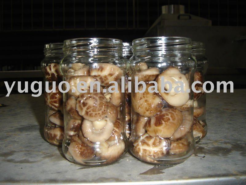 CANNED/ DRIED   SHITAKE   MUSHROOM 