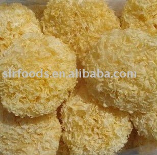 dried white fungus/tremella/fuciformis
