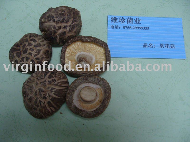 Flower Shiitake