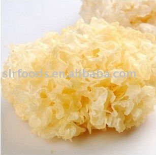 dried white fungus/fuciformis